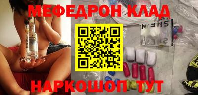 индика Гатчина
