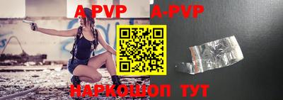 индика Гатчина