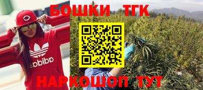 индика Гатчина