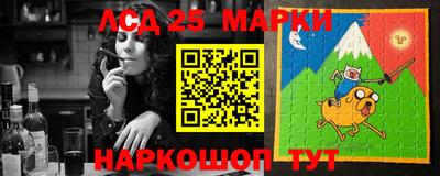 индика Гатчина