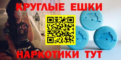 индика Гатчина