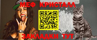 индика Гатчина