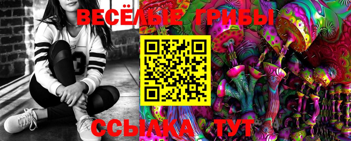 Галлюциногенные грибы мухоморы  Вход с VPN  Галлюциногенные грибы Magic Shrooms  Ковров 