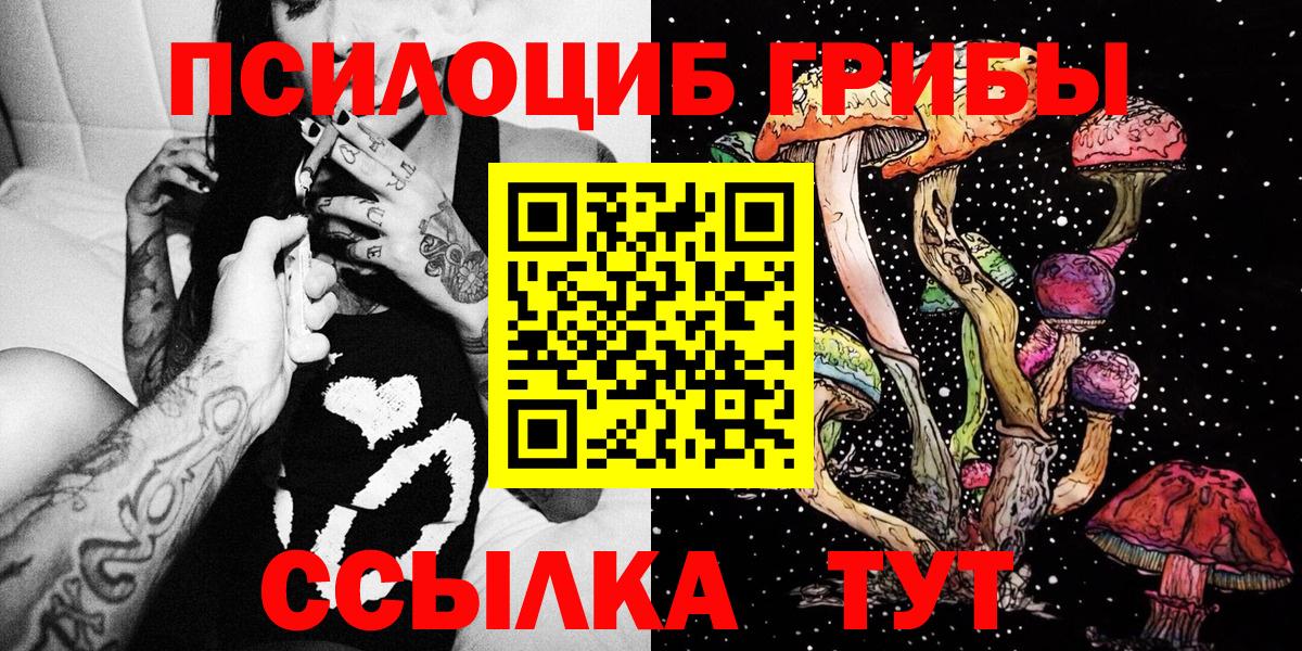 Псилоцибиновые грибы Cubensis Ковров